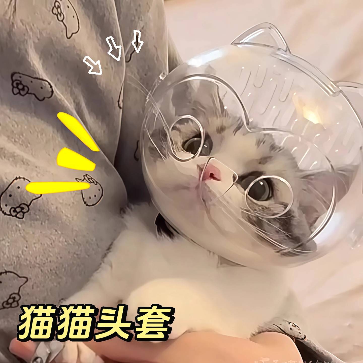 猫咪太空头罩防咬人防舔药洗澡剪指甲防抓人宠物神器伊丽莎白项圈,宠物/宠物食品及用品,宠物伊丽莎白圈,淘宝优惠券,粉丝福利购,淘宝优惠卷