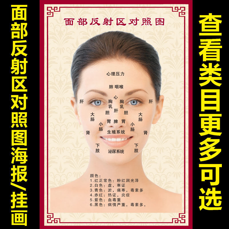 中医养生海报面部反射区与病症对照表挂图美容院人体脸部穴位1878