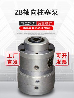 ZB型轴向柱塞泵中天2.5ZB2 2.5ZB14ZB2 4ZB16ZB26ZB18ZB28ZB1金锚