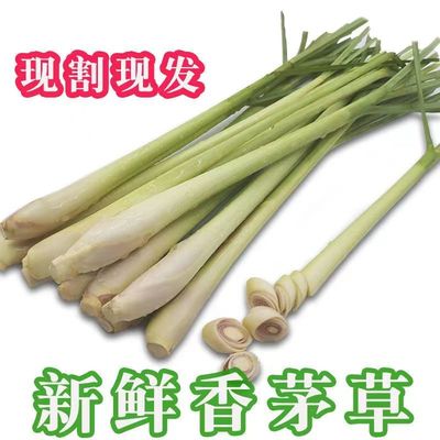 新鲜香茅泰式料理冬阴功汤料