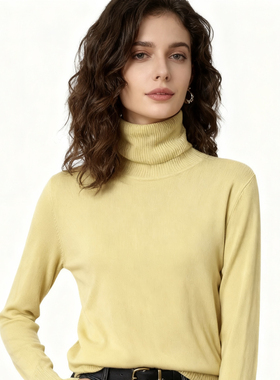 FF6990任3件包邮外贸欧美单女士打底针织衫高领套头纯色修身毛衣