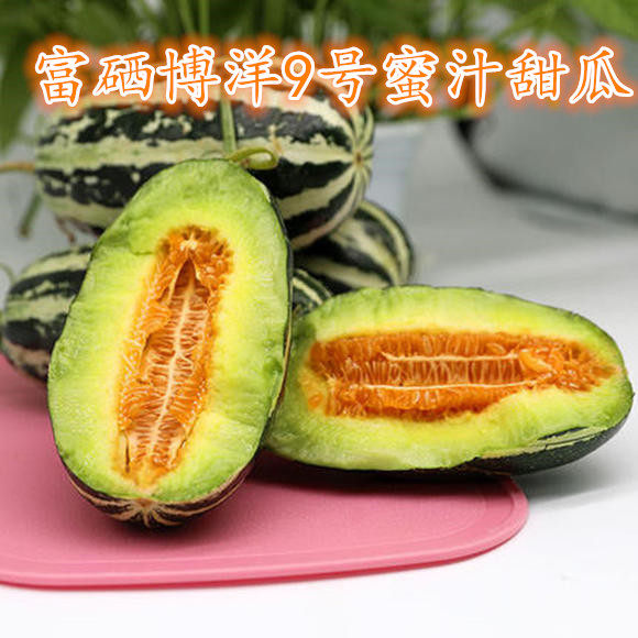 刘哥山东现摘博洋9甜瓜博洋蜜博洋蜜瓜羊角蜜绿宝蜜罐脆甜5斤包邮