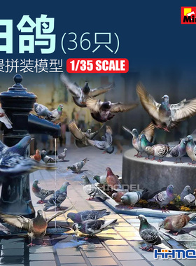 恒辉模型 Miniart 38036 1/35 白鸽36只 场景拼装模型