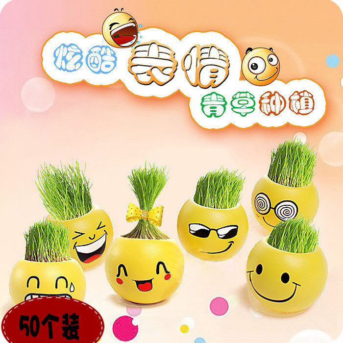 可爱种草娃娃盆栽幼儿园小学生奖品小礼品礼品课堂班级小礼物儿童