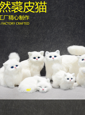 真皮毛纯手工仿真波斯猫咪 高档礼品饰品工艺品家居装饰摆件道具