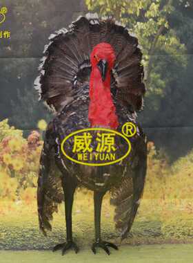 大型动物物 手工艺品 影视道具 仿真特大火鸡B058