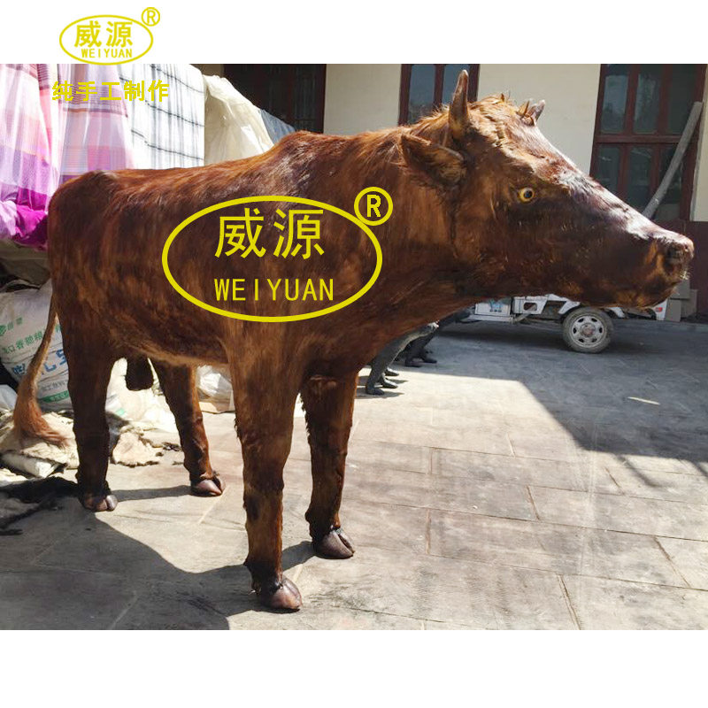 威源 仿真牛影视道具模型摆设酒吧鲁西南大黄牛wy368 定制宝贝