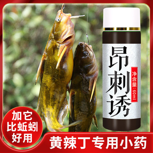 钓黄辣丁小药诱鱼剂野钓专用黄颡鱼昂刺开口饵料窝料添加剂