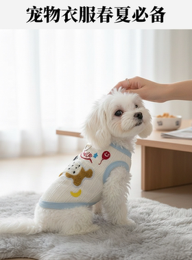 猫咪狗狗衣服夏季薄款可牵引防掉毛橘猫比熊泰迪宠物腊肠狗背心