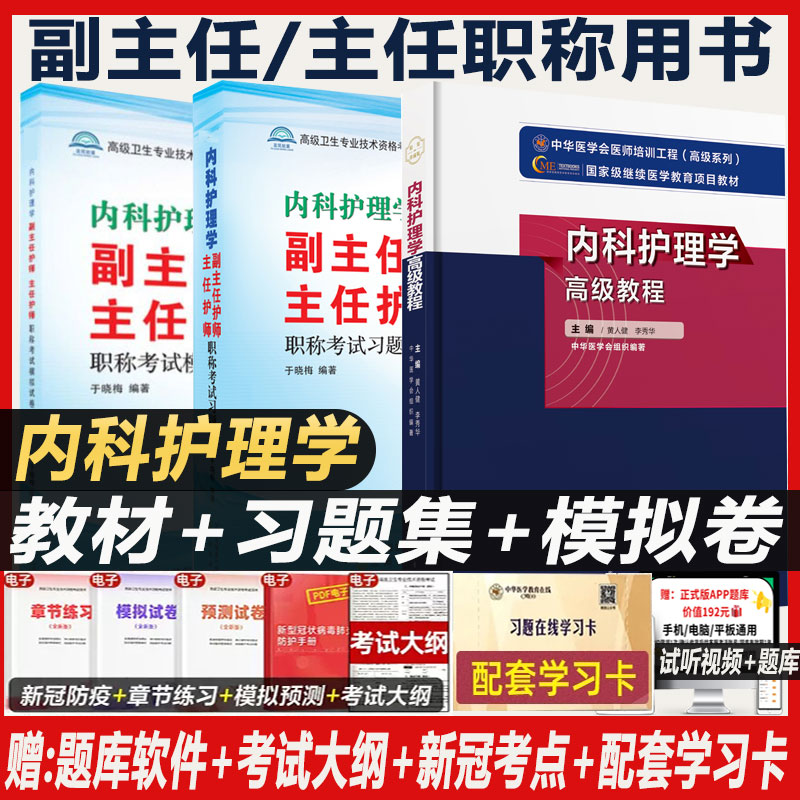 内科护理学高级教程副主任护师