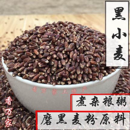 农家自产2024黑小麦 杂粮粥磨黑麦粉五谷杂粮含麸皮胚芽黑麦米5斤