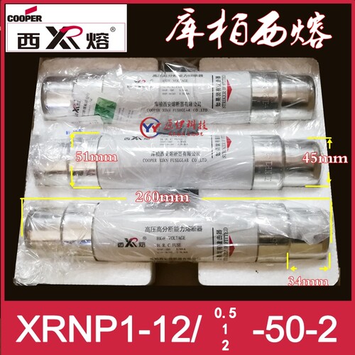 XRNP1-12/0.5/1/2-50-2库柏西熔