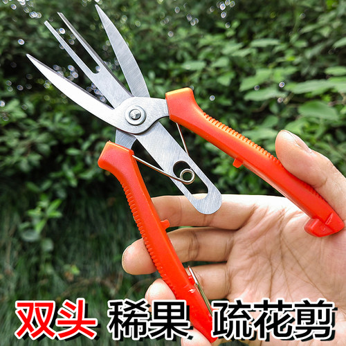 农用双刃稀果蔬花剪刀苹果梨树专用疏果神器不锈钢双口园艺修枝剪