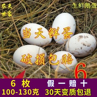 新鲜鹅蛋农家散养生鲜孕妇鹅蛋大真鹅蛋正宗鹅蛋非双黄蛋鸭蛋冒充