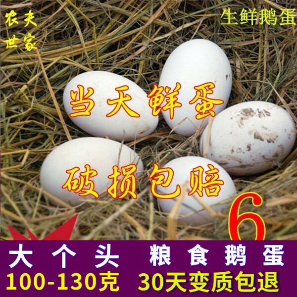 新鲜鹅蛋100-130克农家散养蛋生鲜禽蛋孕妇婴幼儿可以食用大6枚装怎么样,好用不?