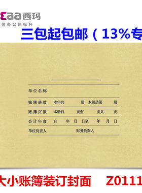 用友大小帐皮z011124明细账