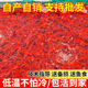 草金鱼红草鱼观赏鱼小金鱼龙鱼饲料鱼冷水鱼网红罐罐鱼活体摆摊鱼