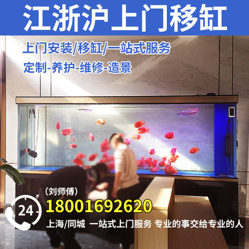 上海浙江江苏鱼缸换水移缸换水换水清理鱼缸鱼池改造养护维护造景