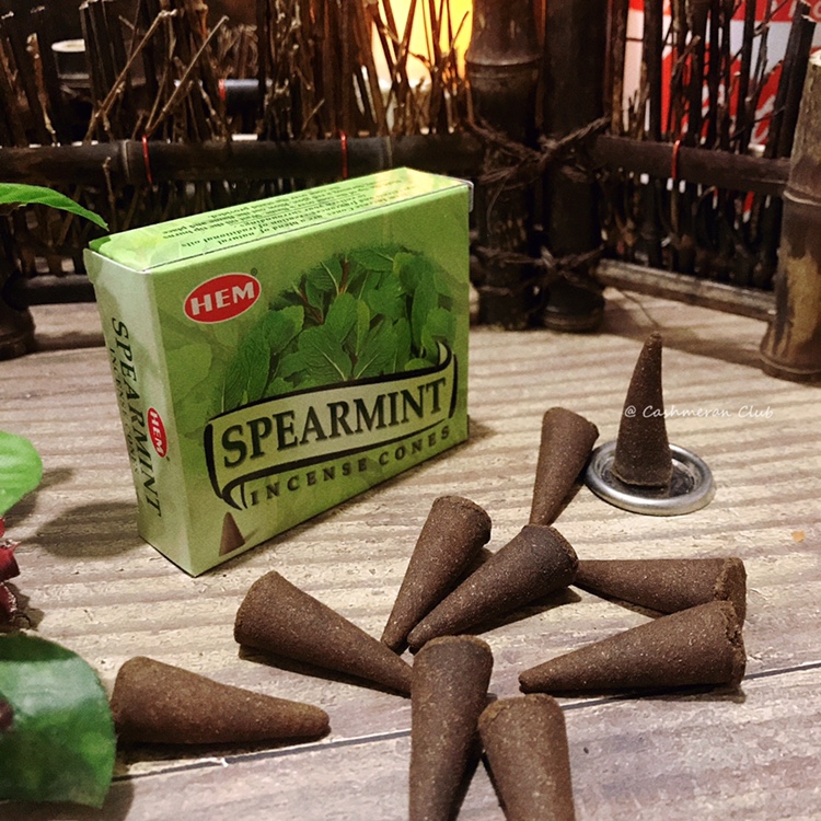 [留兰香薄荷]印度hem锥香spearmint清新提前薄荷香薰塔香10颗