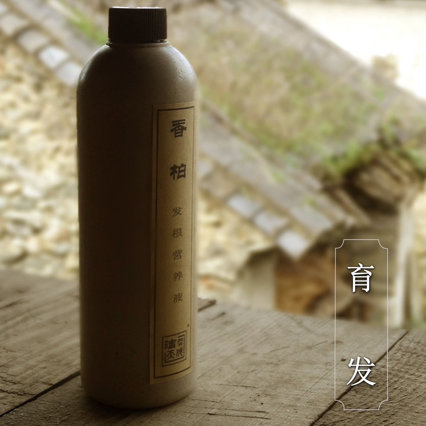 头皮护理天然生发洗头水侧柏毛囊清洁生姜洗发水纯植物发根营养液