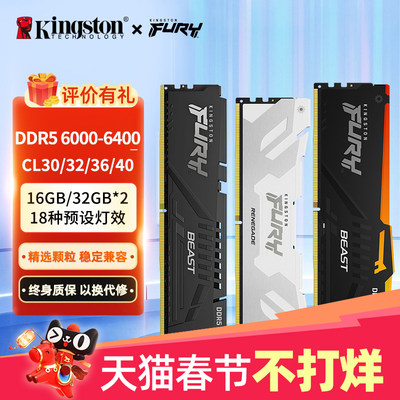 金士顿野兽系列ddr5台式机内存
