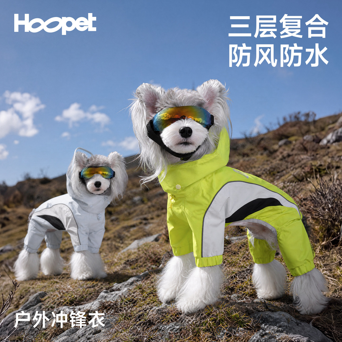 Hoopet小狗冲锋衣专业级防水防风狗狗雨衣西高地小型犬户外狗衣服