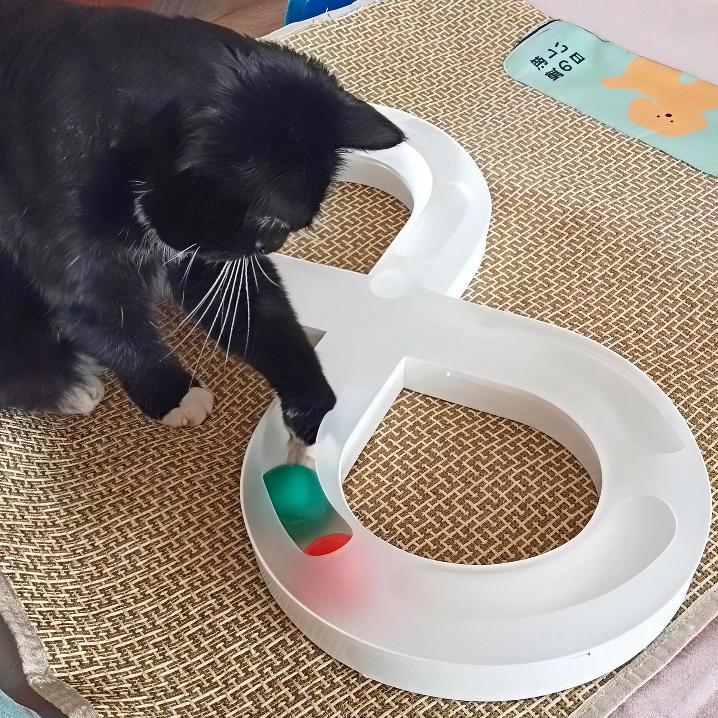 猫玩具自嗨解闷神器猫转盘轨道球幼猫逗猫棒宠物猫咪消耗体力用品