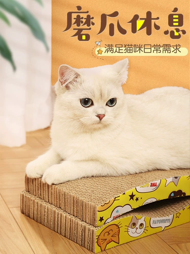 Когтеточка для кошек, износостойкая и не линяет, устойчивая к царапинам, гофрированная бумага, шлифовка когтей, защита от кошачьих царапин, защита дивана, принадлежности для котят