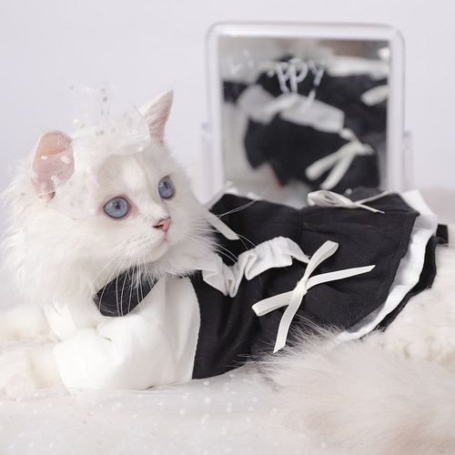 小猫裙子价格 小猫裙子图片 星期三