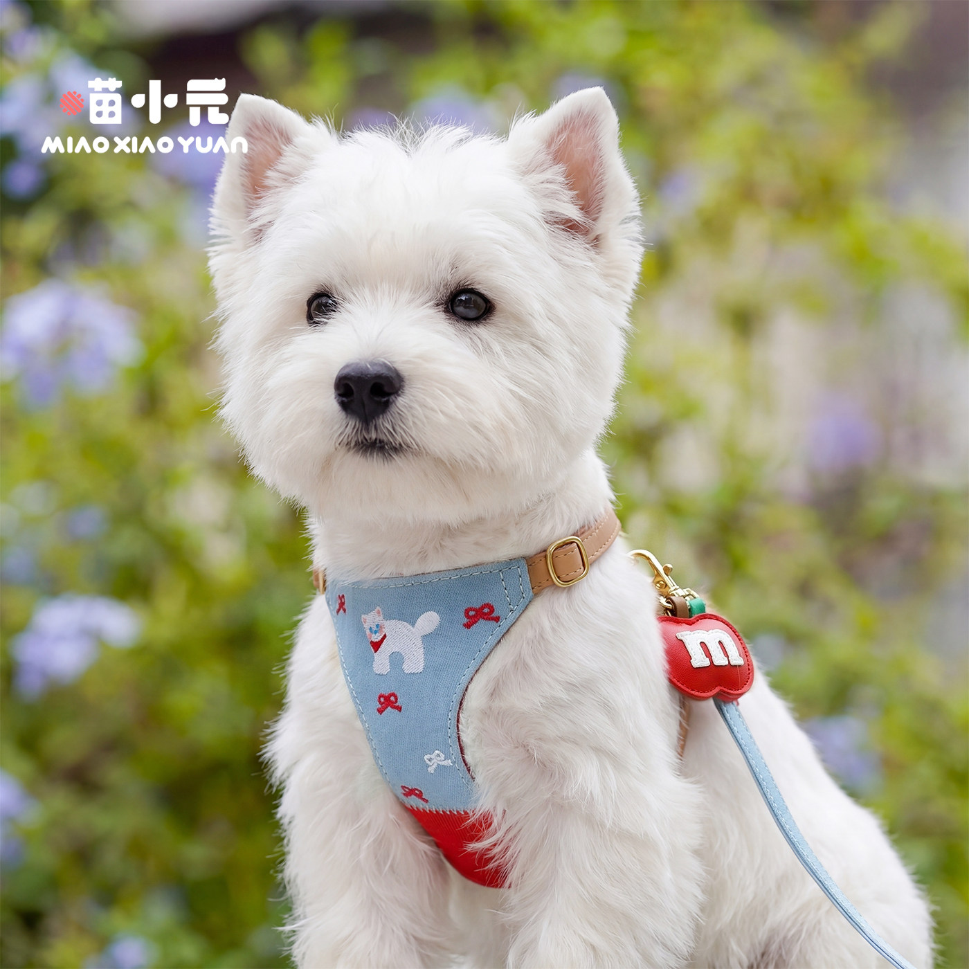 狗狗牵引绳小狗胸背带小型犬比熊西高地外出不勒脖宠物背心式遛狗