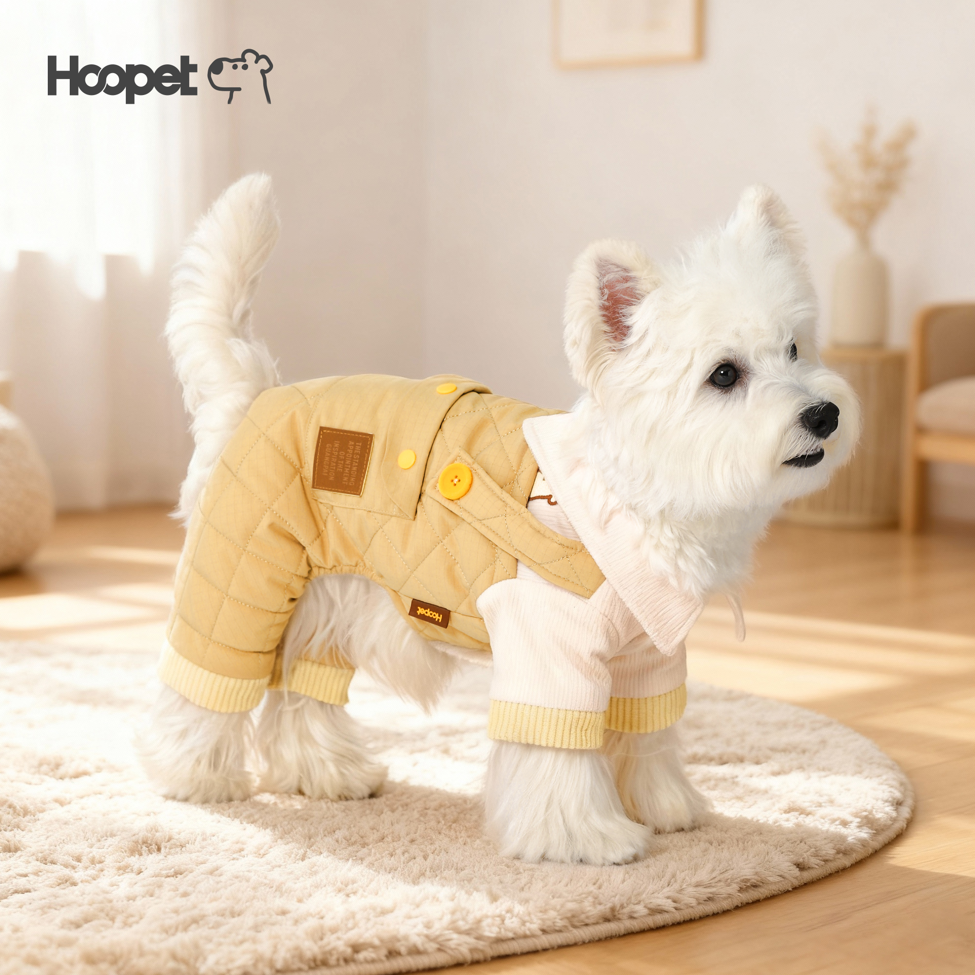 狗狗衣服秋冬小型犬四脚衣