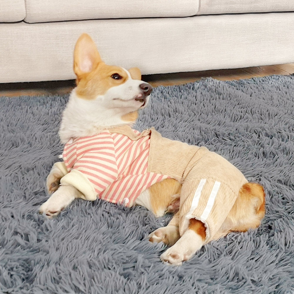 柯基狗狗衣服专用冬季加厚防掉毛幼犬中型犬宠物冬天保暖冬装四脚