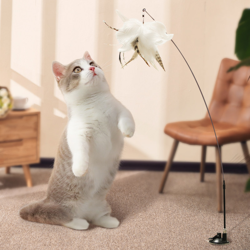 猫玩具逗猫棒自嗨解闷神器吸盘长杆布偶蓝猫斗猫吸地猫咪用品大全,宠物/宠物食品及用品,逗猫棒,淘宝优惠券,粉丝福利购,淘宝优惠卷