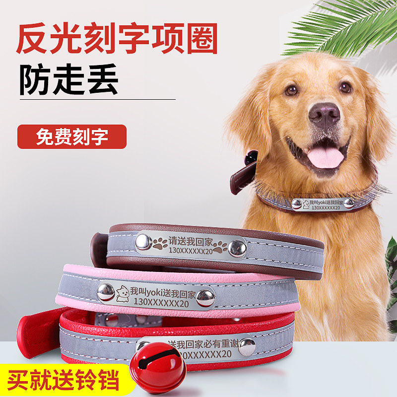 大狗狗刻字项圈中型大型犬狗牌定制防丢柴犬金毛狗圈颈圈宠物脖圈