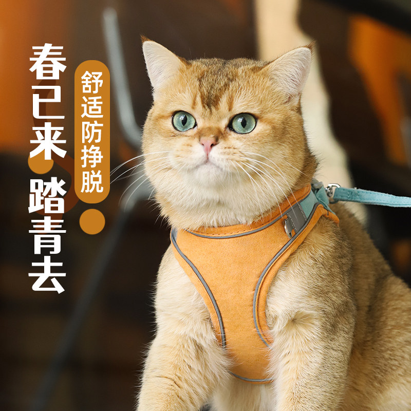 猫咪牵引绳背心式衣服胸背带防挣脱遛猫绳子猫链溜猫宠物猫猫专用,宠物/宠物食品及用品,狗牵引绳,淘宝优惠券,粉丝福利购,淘宝优惠卷