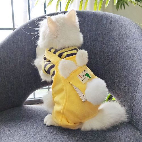 猫咪衣服冬装猫猫冬天保暖防掉毛幼猫布偶德文宠物小猫加厚保暖衣 - 封面