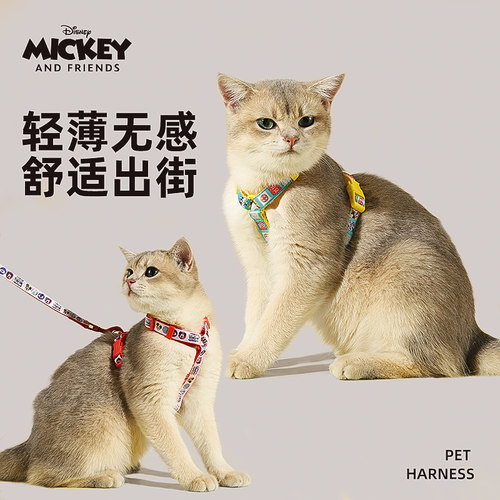 Disney/迪士尼宠物牵引绳套装