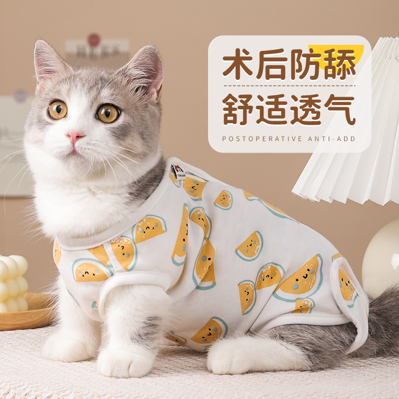 猫咪绝育服手术衣服猫猫断奶戒奶服防舔公猫术后服宠物绝育服母猫-封面