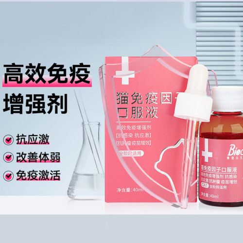博莱得利金渐层猫咪咳嗽溶液布偶