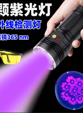365nm黑镜紫外线240W大功率紫光灯工业探伤荧光剂油污烟酒UV固化