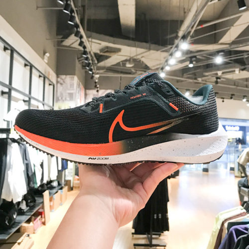NIKE耐克男鞋正品缓震跑步鞋