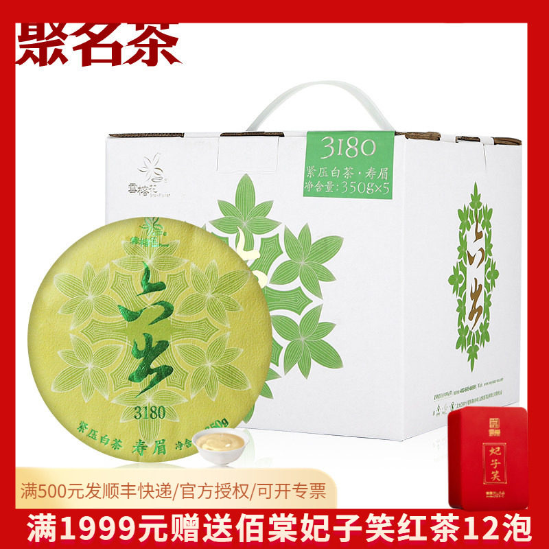 武夷星雪榕花六出3180