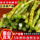 正宗霍山铁皮石斛鲜条安徽霍山石斛旗舰店新鲜石斛现榨原浆现采摘