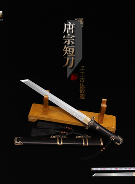 防身不锈钢未开刃龙泉镇小剑