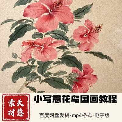 小写意花鸟国画视频104节零基础入门电子版百度网盘发货