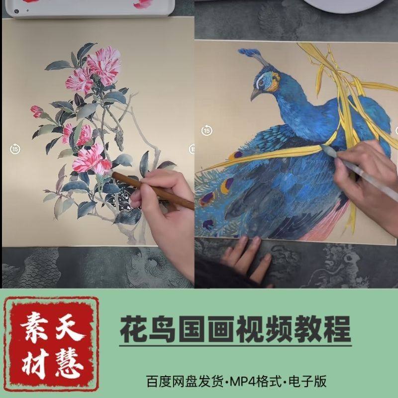 墨老师花鸟国画视频750节零基础入门到高阶电子版百度网盘发货
