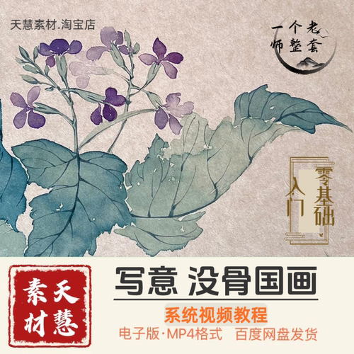 马老师国画视频14套抖音同款百度网盘发货