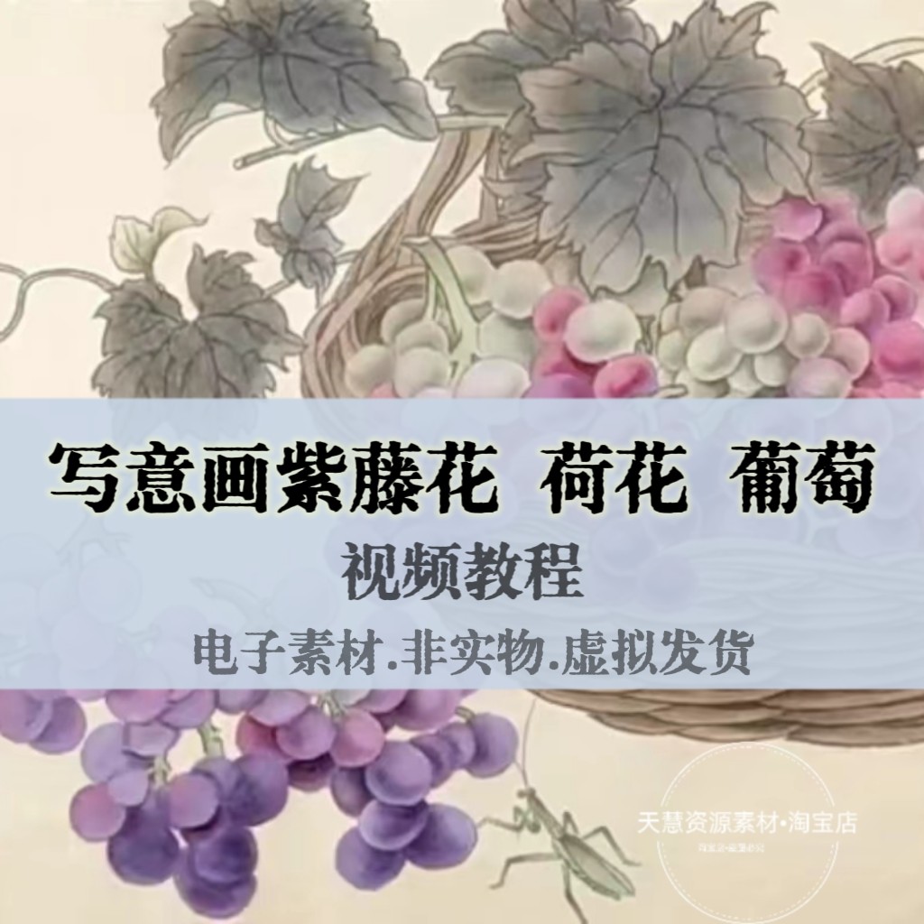 国画写意葡萄紫藤花荷花精品视频教程自学素材源文件