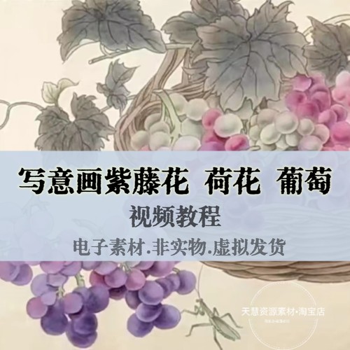 国画写意葡萄紫藤花荷花精品视频教程自学素材源文件