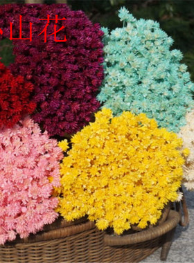 小山立体diy滴胶填充物干花